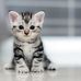 Wayne Yue - Facebook