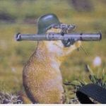 Wayne Zacher - @waynezacher - Instagram