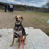 Wayne Zhong - @waynezhong5 - TikTok
