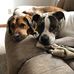 Wayne C Zimmer - Facebook