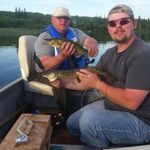 Wayne Zimmerman - @wayne.zimmerman.184 - Instagram