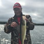 Wayne Zook - @wayne_zook - Instagram