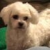 Waynette Johnson - Facebook