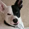 waynewhite226 - @waynewhite226 - TikTok