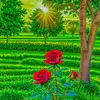 Wazed Hasan - @wazed.hasan611 - TikTok