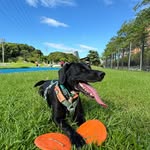 Wealthy Lee - @wealthy.lee - Instagram
