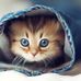 Weam Ali - Facebook