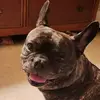 webbridges - @webbridges - TikTok