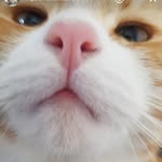 Angela H - @weeang99 - Instagram