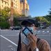 Wei Ding - Facebook