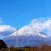 Wei Luo - @wei.luo97 - TikTok