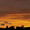 Wei Pan - @wei.pan - TikTok