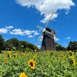 @weiye9981 - Instagram