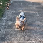 Weiye Zhang - @weiye__zhang - Instagram