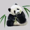weiyu - @kungfupanda575 - TikTok