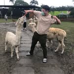 凡 - @wei_fan_wang - Instagram