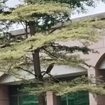 劉 惟鈞 - Facebook