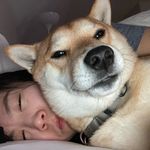 Weili Lorena Chen - @weilinotlorena - Instagram