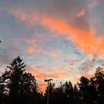 Weina Wang - @weina0711 - Instagram
