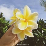 weina'wang - @weinawang7177 - Instagram