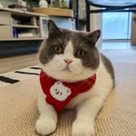 Weina Wu - @nana_111777 - Instagram