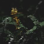 weiping-Jiang - @weipingjiang - Instagram
