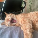 Weiqi Wang - @blur.ovo - Instagram