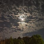 weiqi wang - @382748476wwq - Instagram