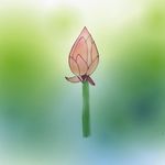 Weiqi Wang - @weiqi969 - Instagram