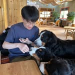 Weishan li - @weishan2333 - Instagram