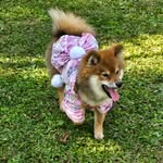 Weiwei Yu - @weiweiyu74 - Instagram