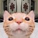 Weiyi Wang - Facebook