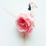 Weiying Wang - @weiying340 - Instagram