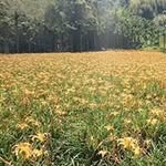 汪幃瑩 - @weiyingwang - Instagram
