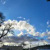 Weiyu Wang - @weiyu.wang - TikTok