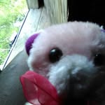Weldon Foster - @weldon.foster.9 - Instagram