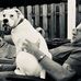 Weldon Walker - Facebook
