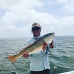 weldon wood - @weldon973 - Instagram