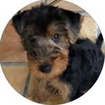 Eric Wendel Lee - @pastorewl1 - Instagram