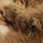Wendell Bennett - @wendell.bennett - Instagram