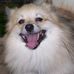 Wendell Bennett - Facebook