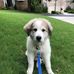 Wendell P. Boyd - Facebook