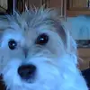 wendellbryanlayne - @wendellbryanlayne - TikTok