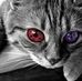 Wendell Cole Nat - Facebook