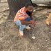 Wendell Cox - Facebook