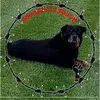 wendellford512 - @wendellford512 - TikTok