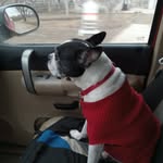 Wendell Mays - @gwheel194 - Instagram