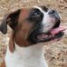 Wendell Shaw - Facebook