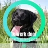 Wendy Elstrodt - @wendyelstrodt - TikTok