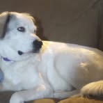 Wendell Wayne Bogart Boll - Facebook